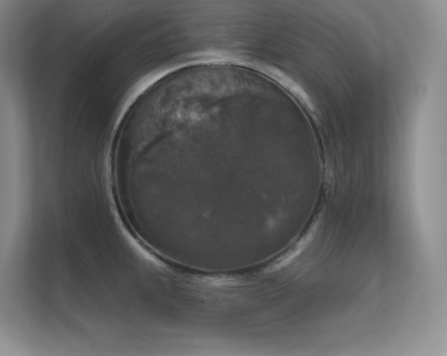X0000112431239200908141424