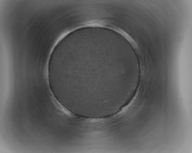 X0000112431240200908141424