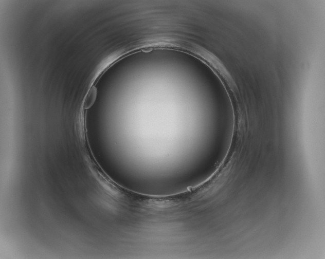 X0000112431242200908141424
