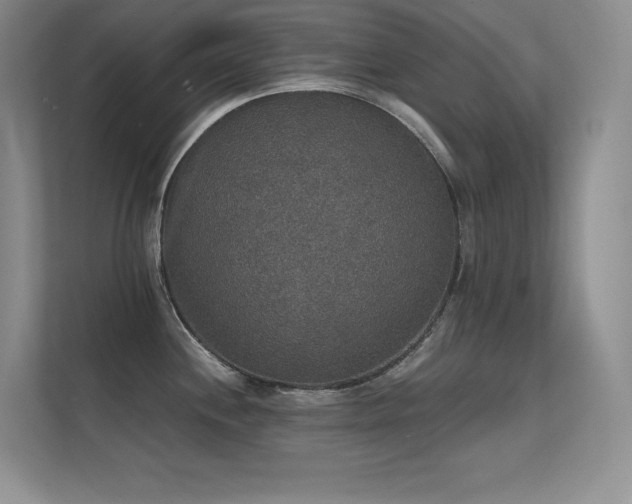 X0000112431244200908141424