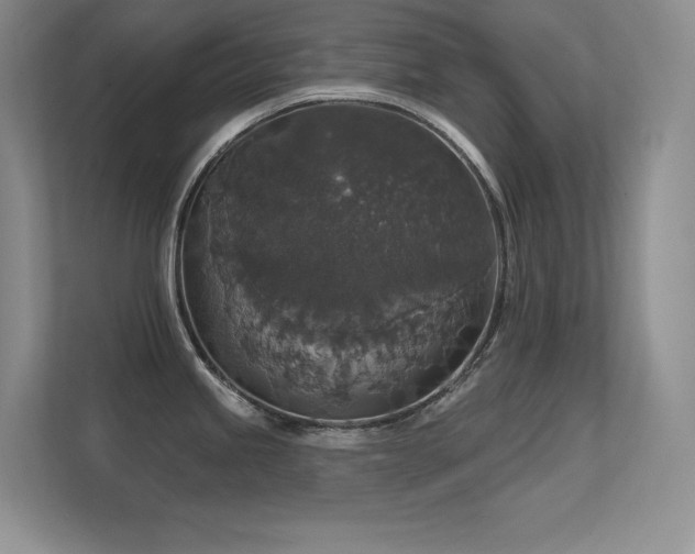 X0000112431245200908141424