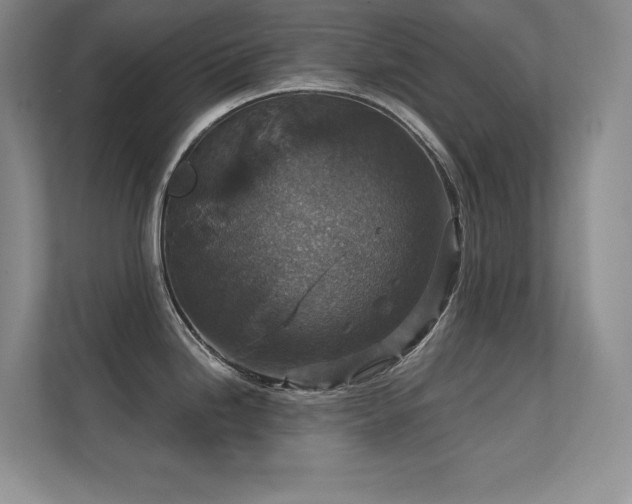 X0000112431246200908141424