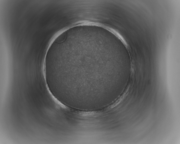 X0000112431247200908141424