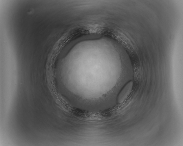 X0000112431249200908141424