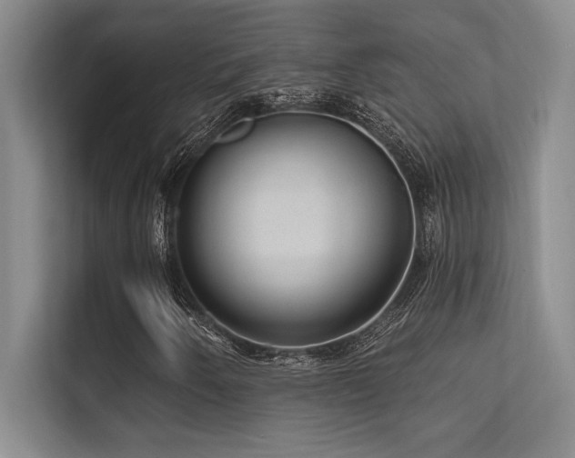 X0000112431250200908141424