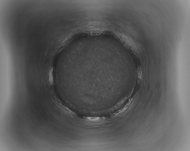 X0000112431252200908141424