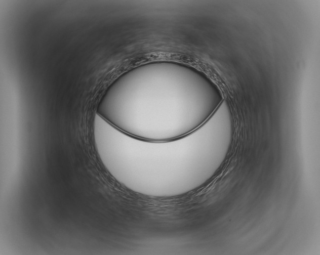 X0000112431253200908141424