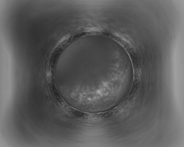 X0000112431254200908141424