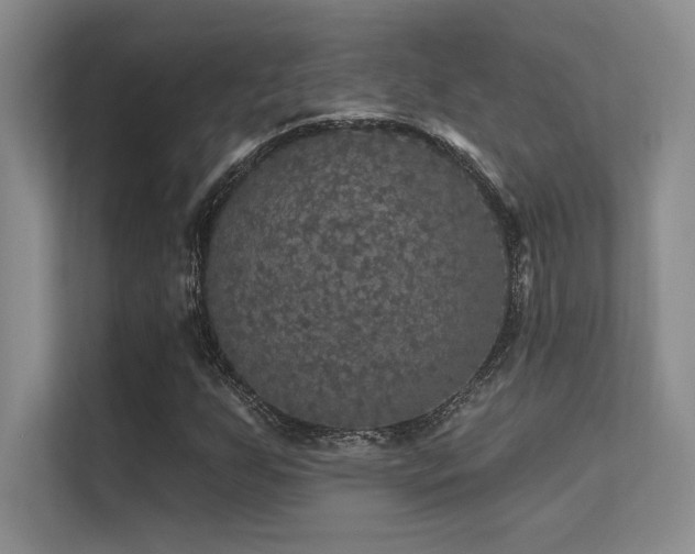 X0000112431255200908141424