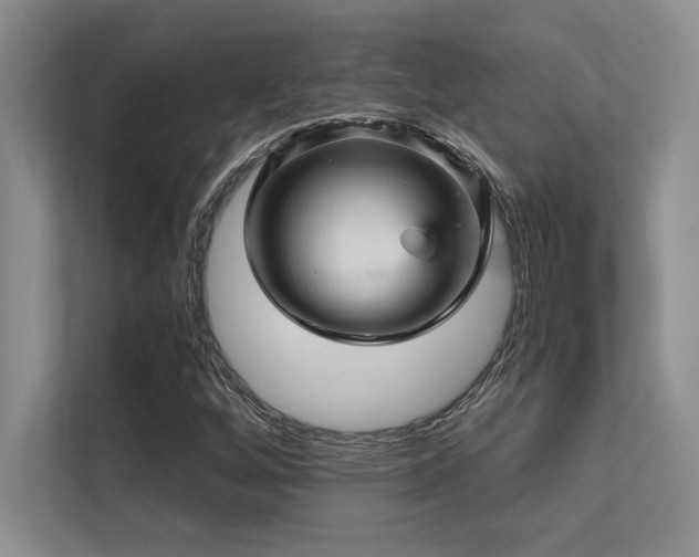 X0000112431256200908141424