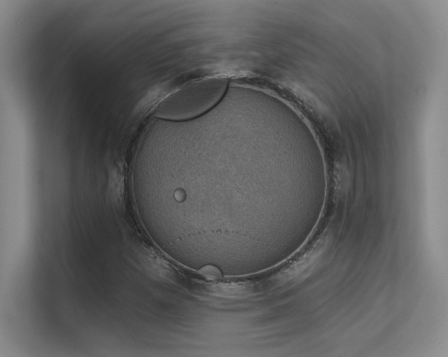 X0000112431257200908141424