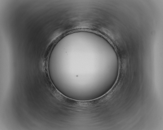 X0000112431258200908141424