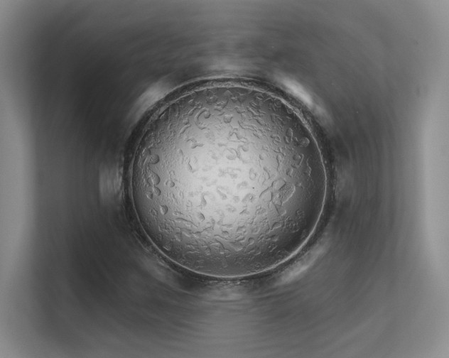 X0000112431259200908141424