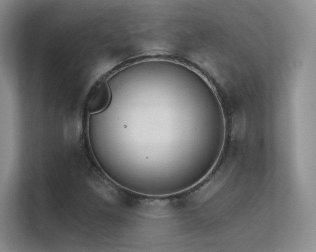 X0000112431261200908141424