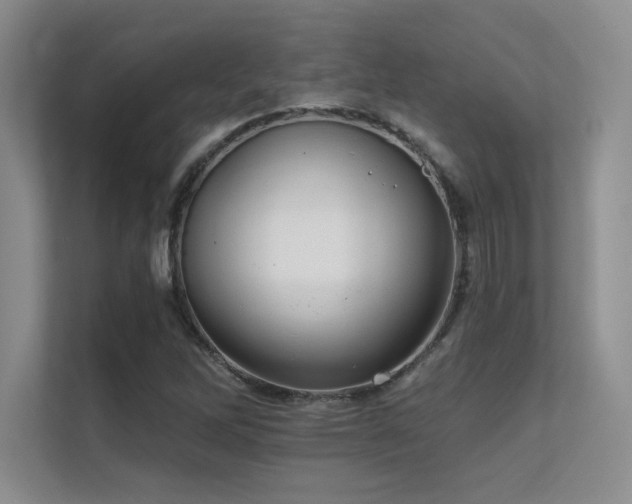 X0000112431262200908141424
