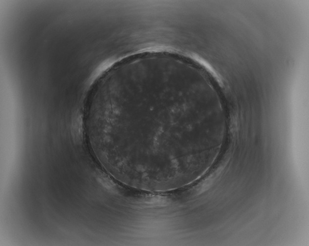 X0000112431263200908141424
