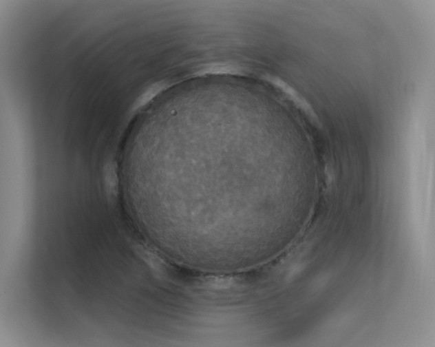 X0000112431266200908141424