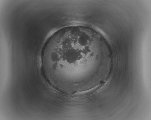X0000112431267200908141424