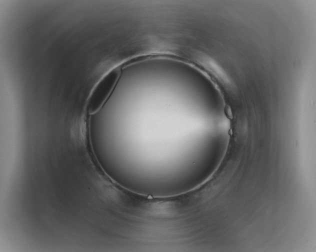 X0000112431268200908141424