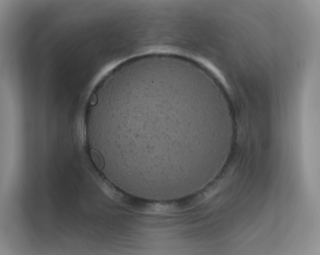 X0000112431271200908141424