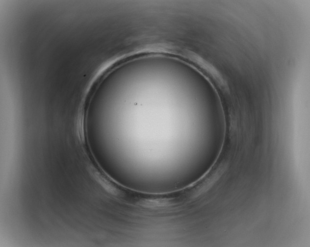 X0000112431272200908141424