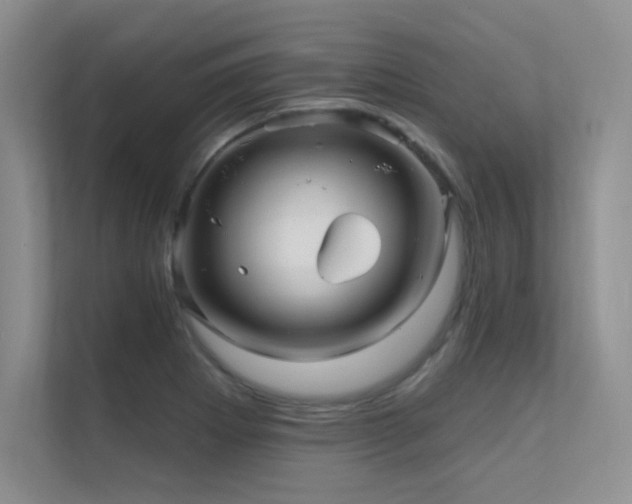 X0000112431273200908141424