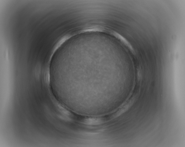 X0000112431274200908141424