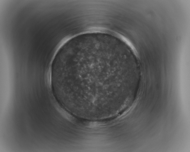 X0000112431275200908141424