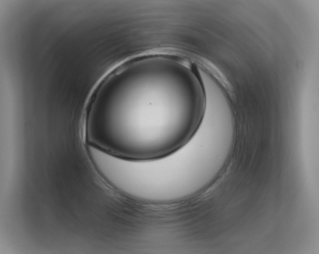 X0000112431276200908141424