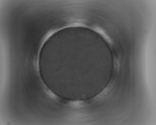 X0000112431278200908141423