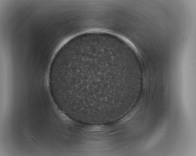 X0000112431279200908141423