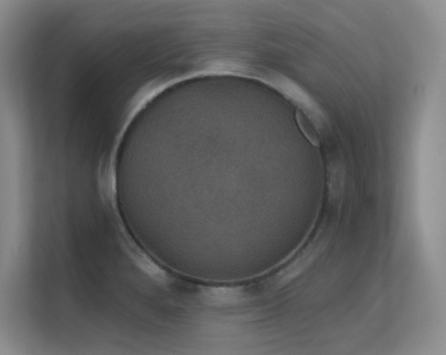X0000112431280200908141423