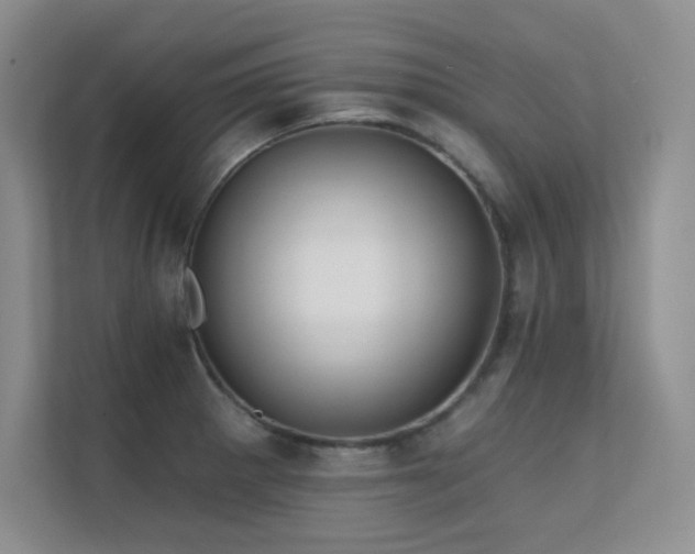 X0000112431281200908141423