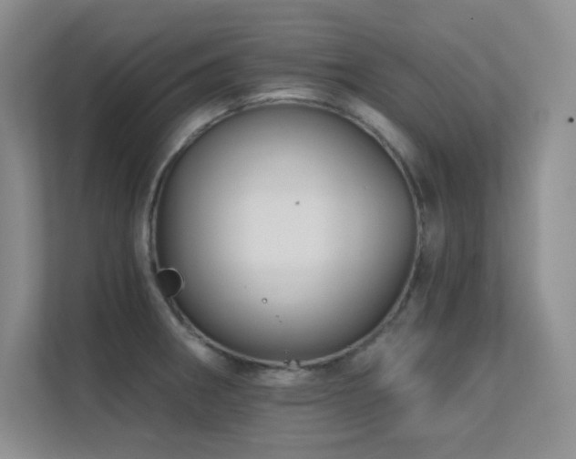 X0000112431282200908141423