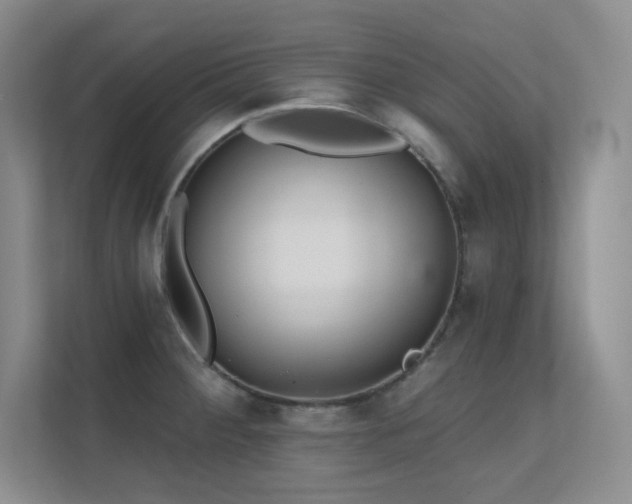 X0000112431284200908141423