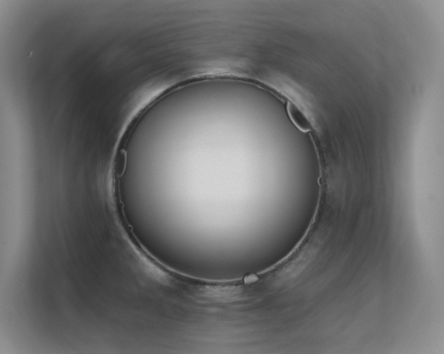 X0000112431285200908141423