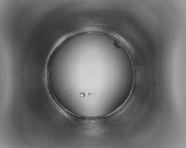 X0000112431286200908141423