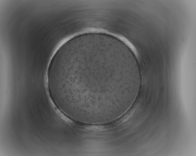 X0000112431287200908141423