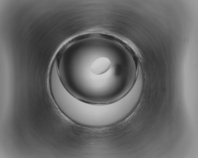 X0000112431288200908141423
