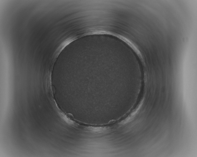 X0000112431289200908141423