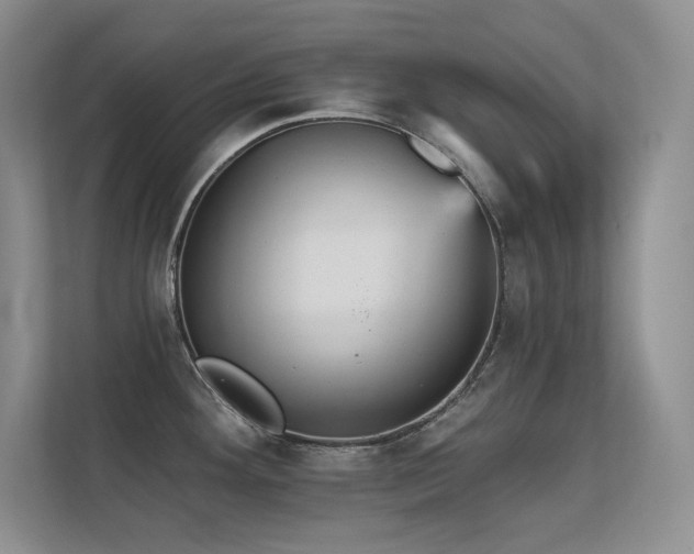 X0000112431292200908141423