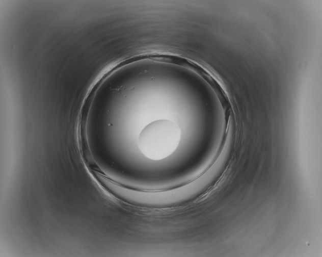 X0000112431293200908141423