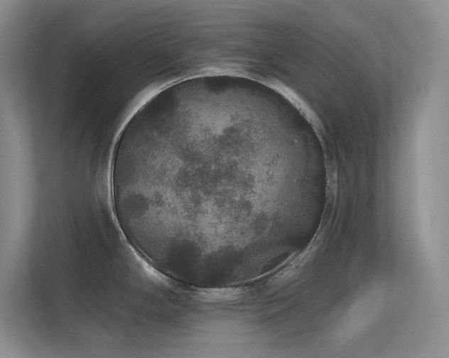 X0000112431294200908141423