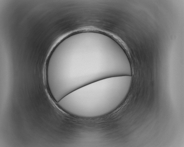 X0000112431295200908141423