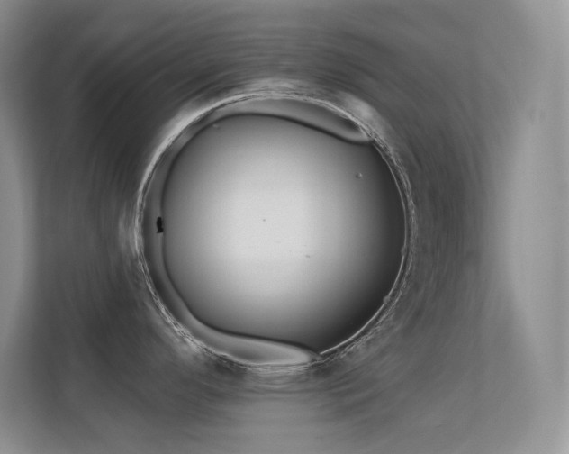 X0000112431296200908141423