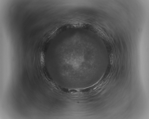 X0000112431298200908141423