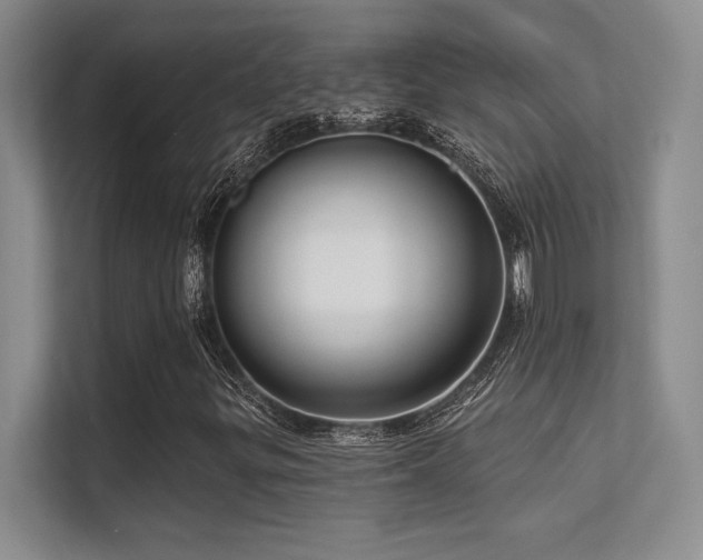 X0000112431299200908141423
