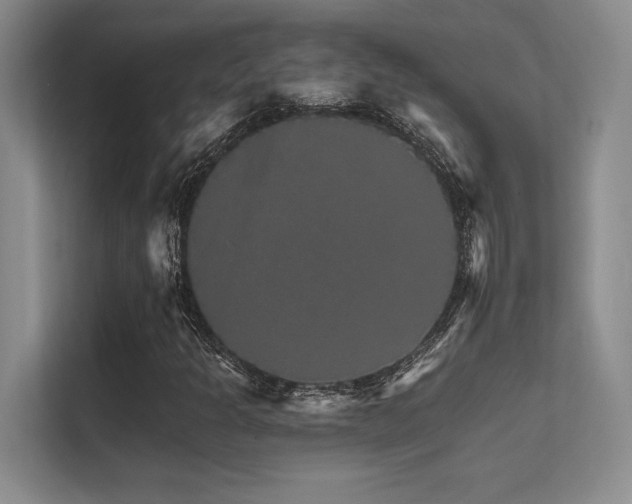 X0000112431301200908141423