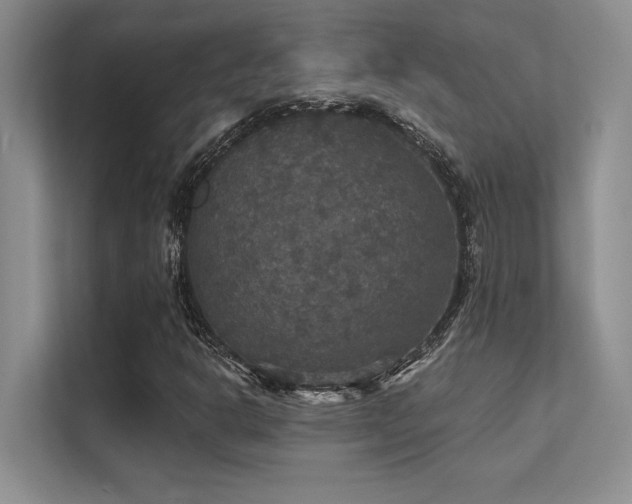 X0000112431302200908141423