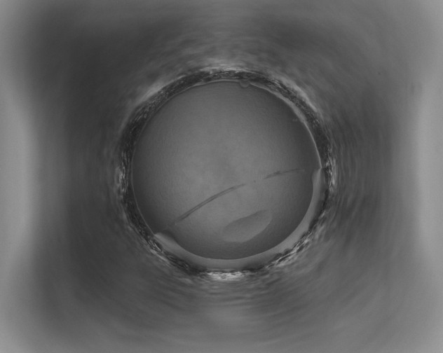 X0000112431303200908141423